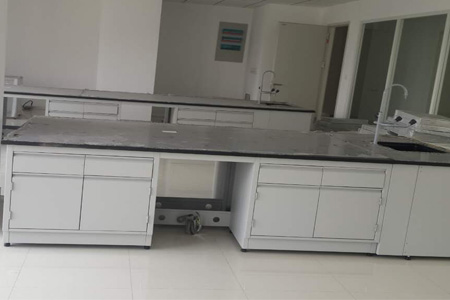 蘇州某某化學技術(shù)服務全鋼實驗臺